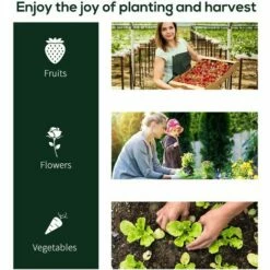 Outsunny Tunnel Greenhouse Grow House Steel Frame PE Transparent 200x100x80 Cm -Outsunny store 48446015 5